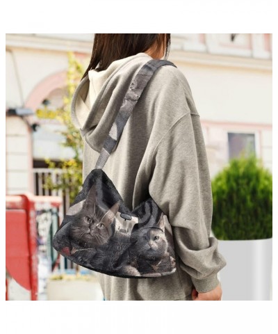 Cute Cat Behind Broken Wall Women's Bag, Crossbody Bookbag for Women, Womens Outdoor Bag Two Cats in the Driver Seat $11.74 S...