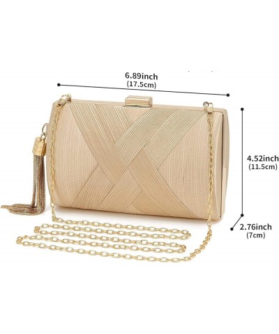 Satin Clutch Purse Evening bag Tassels Handbag Lady Party Wedding Chain Geometric Shoulder Cross Body Bag for Women Champagne...