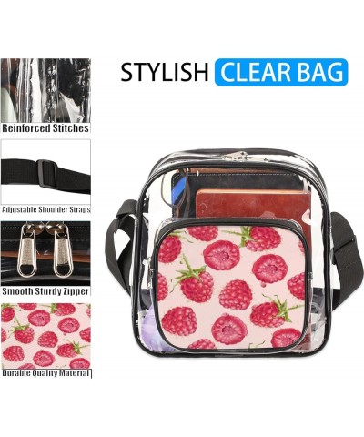 Cat Pumpkin Stadium-Approved Clear Crossbody Bag with Colorful Print Design Raspberry Red $12.71 Crossbody Bags