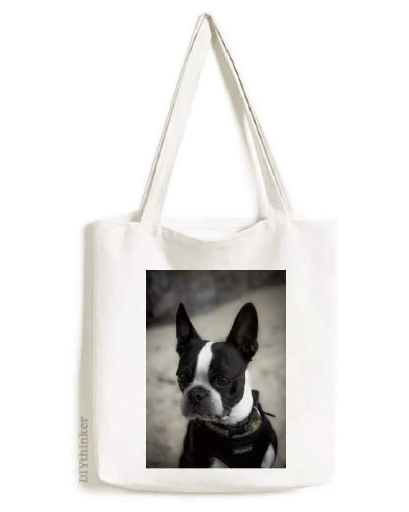 Bulldog Pet Animal Dark Picture Tote Canvas Bag Shopping Satchel Casual Handbag $17.97 Totes