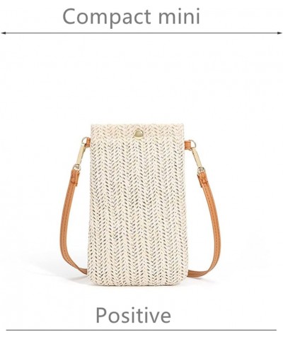 Straw Clutch Bag, Straw Cluthes Purse Straw Crossbody Bag Summer Clutch for Women Girls Gift (Khaki magnetic buckle,One Size)...